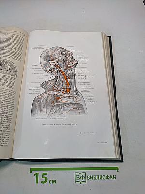 Большая медицинская энциклопедия. Том двенадцатый. Ишемия – Кишечник