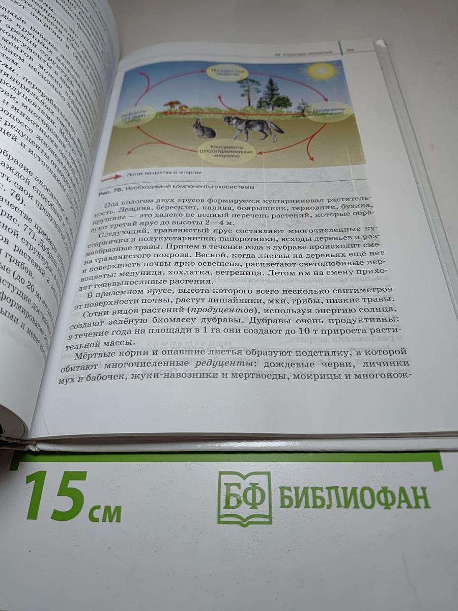 Биология. Общая биология 11 класс (Базовый уровень)