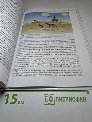 Биология. Общая биология 11 класс (Базовый уровень)