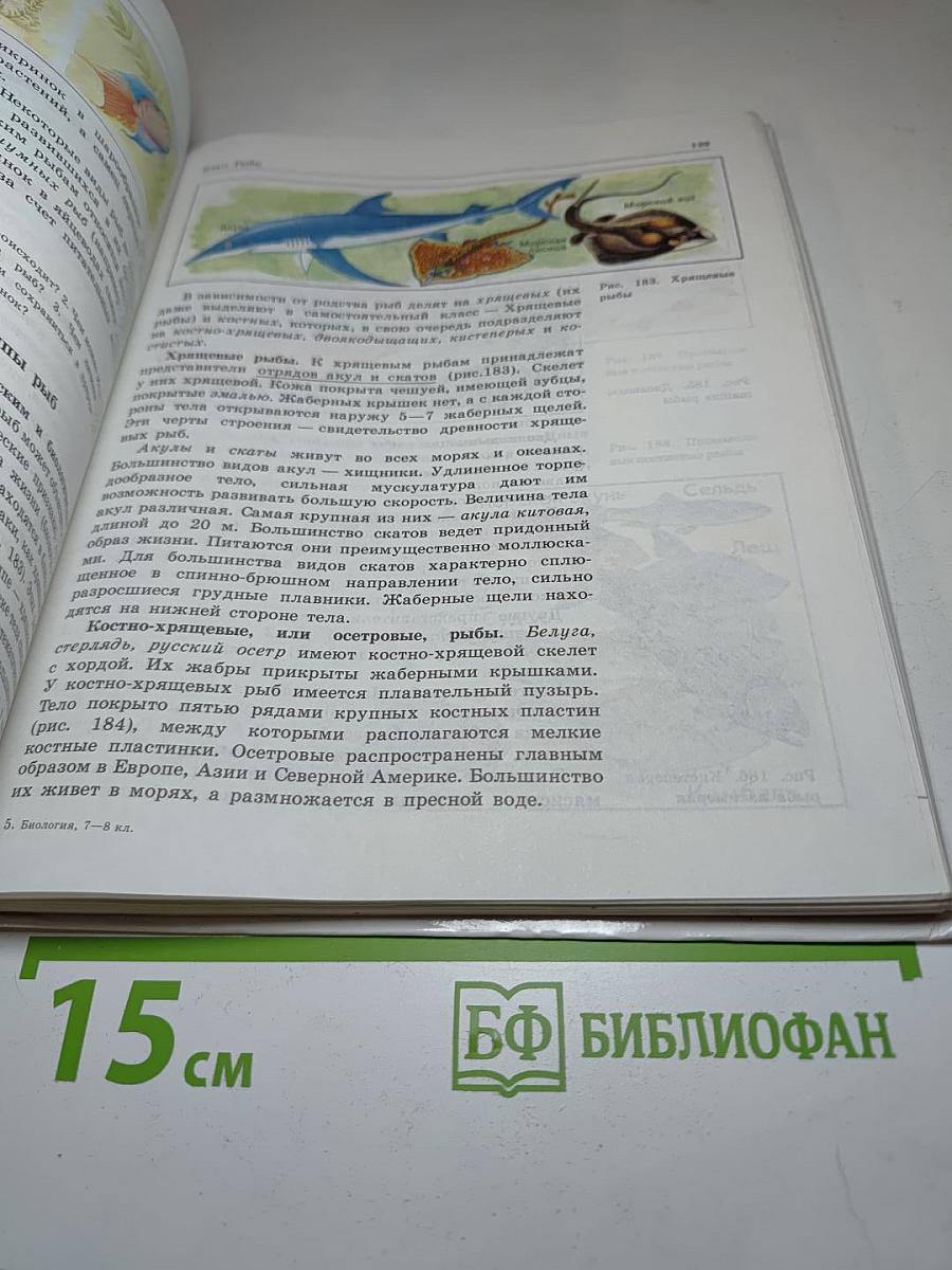 Биология. Животные. 7-8 классы
