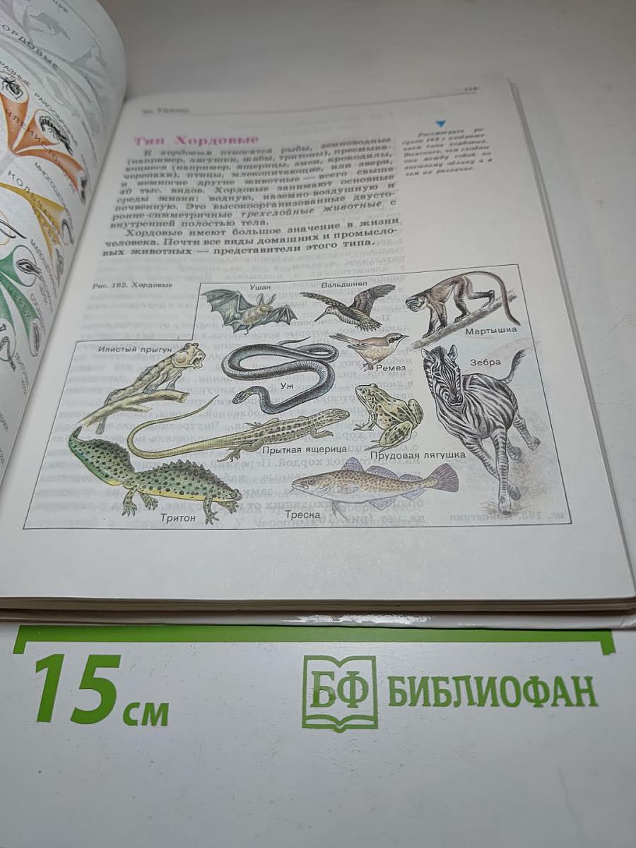 Биология. Животные. 7-8 классы