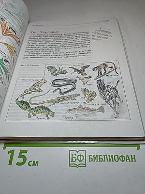 Биология. Животные. 7-8 классы