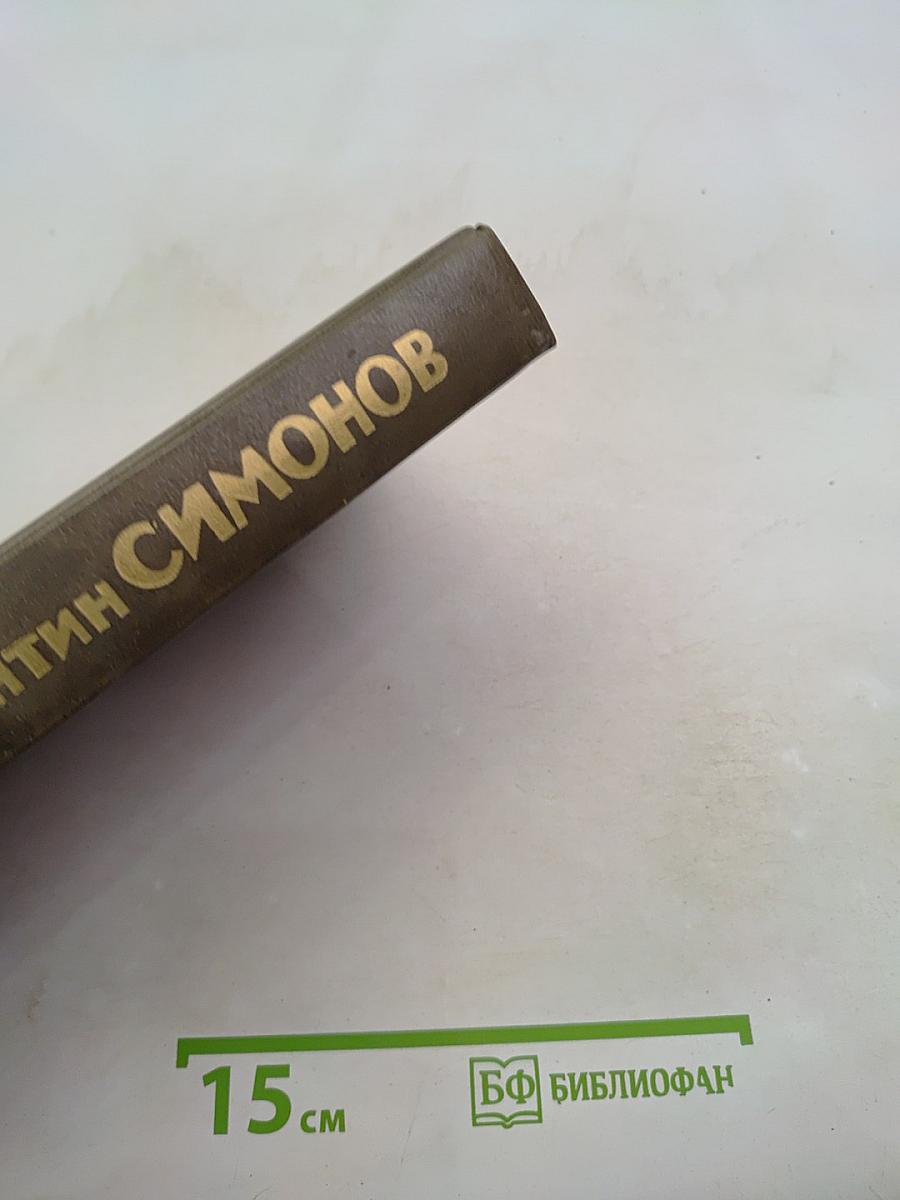 Живые и мертвые. Книга третья. Последнее лето