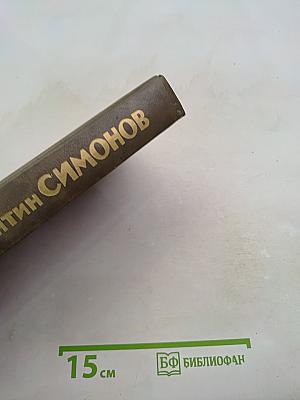 Живые и мертвые. Книга третья. Последнее лето