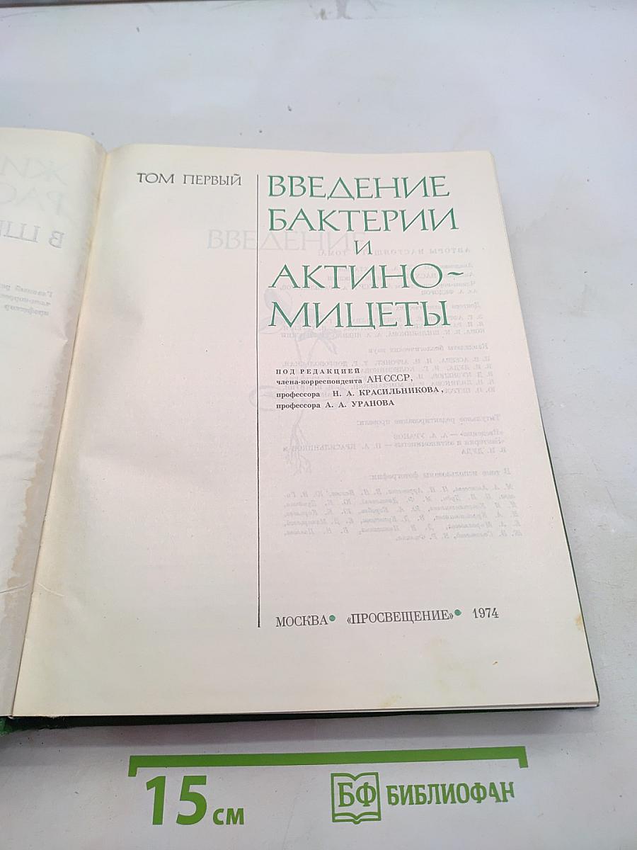 Введение в бактерии и актиномицеты