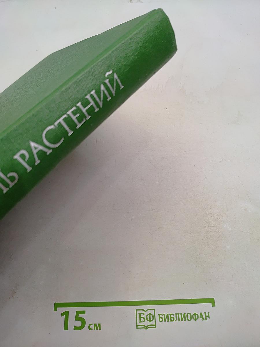 Введение в бактерии и актиномицеты