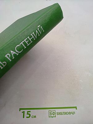 Введение в бактерии и актиномицеты