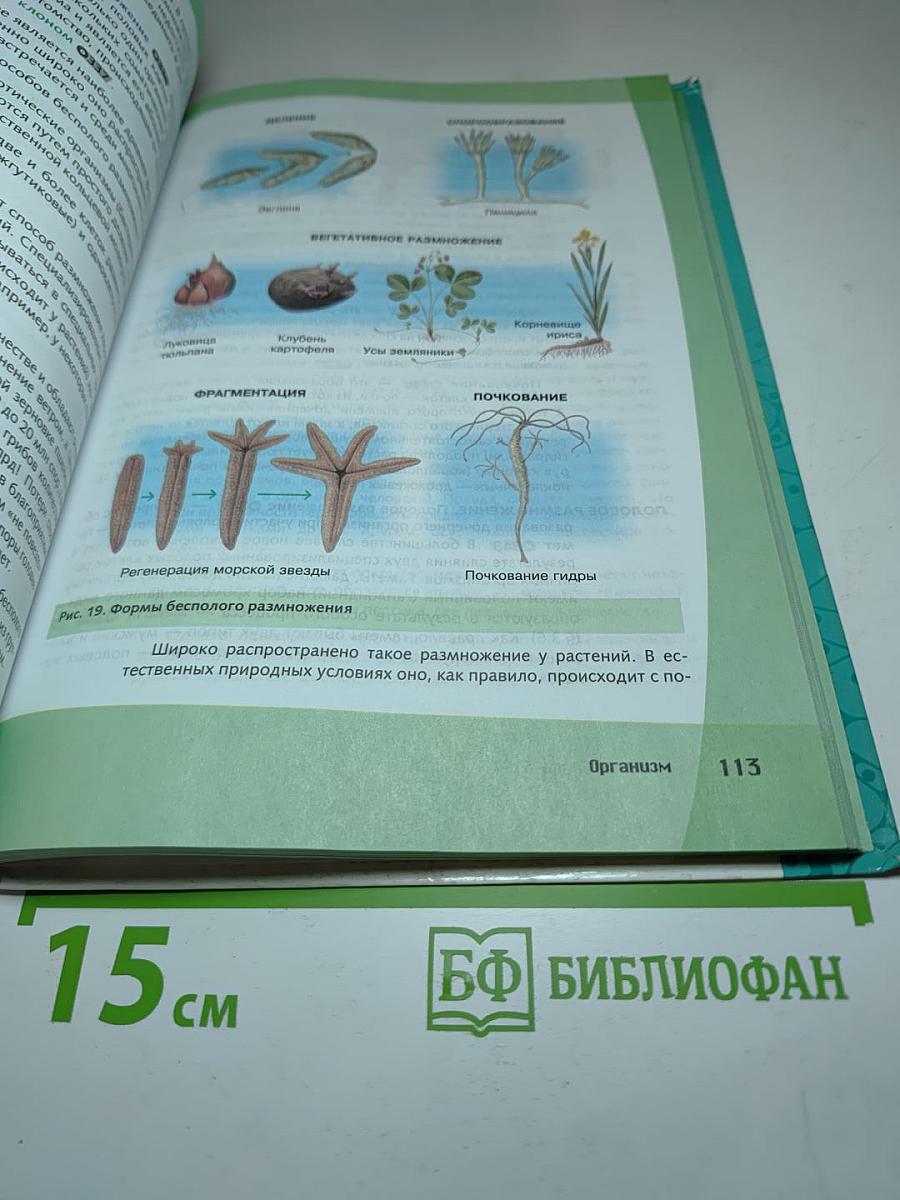 Биология. Общая биология. Базовый и углубленный уровни, 10 класс