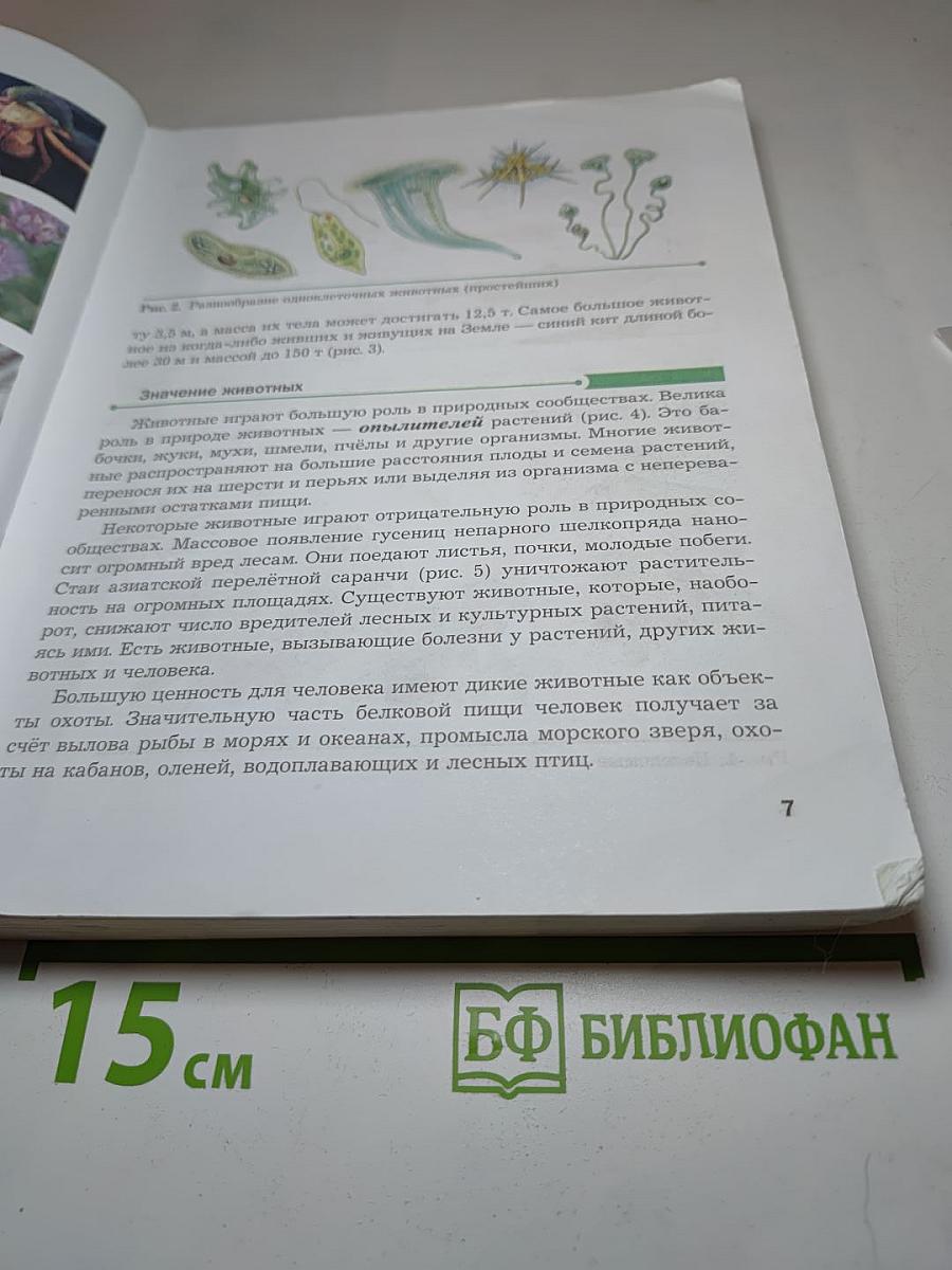 Биология, 8 класс