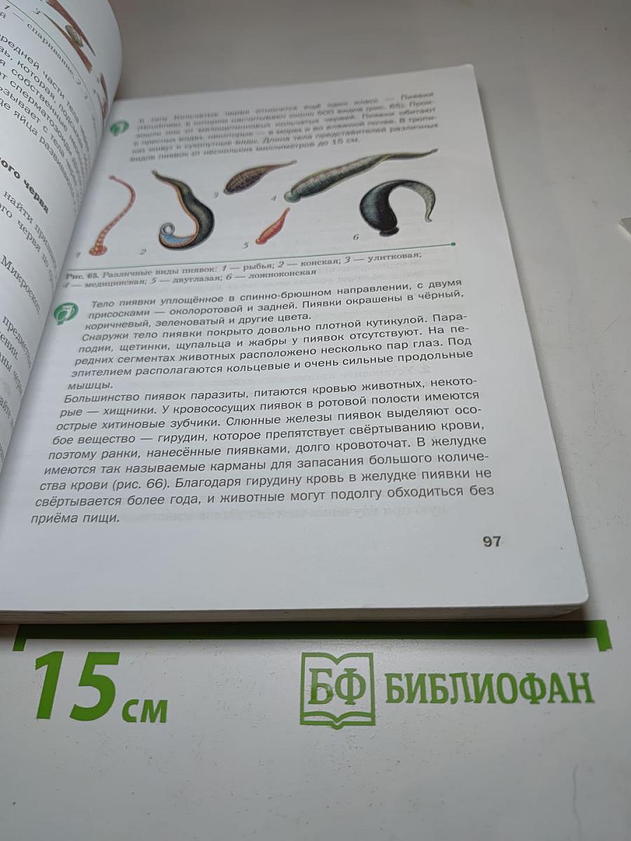 Биология, 8 класс