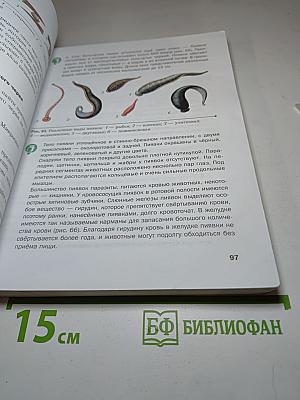 Биология, 8 класс