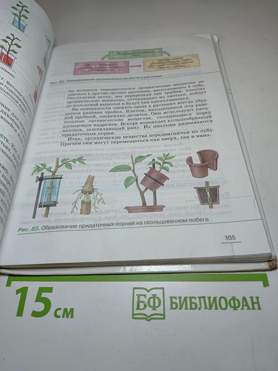 Биология. Многообразие покрытосеменных растений. 6 класс
