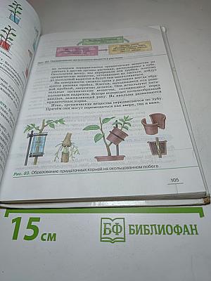 Биология. Многообразие покрытосеменных растений. 6 класс