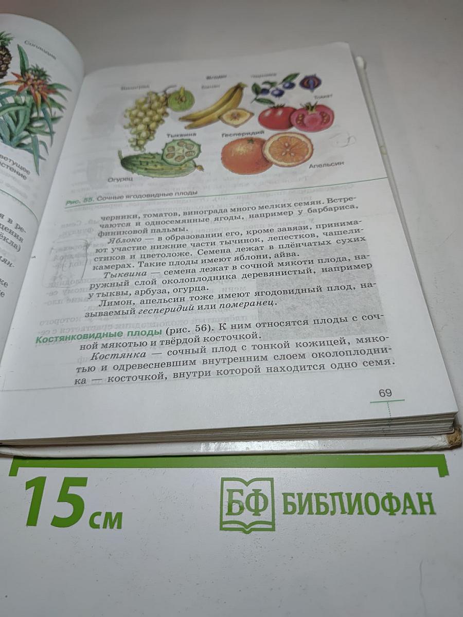 Биология. Многообразие покрытосеменных растений. 6 класс