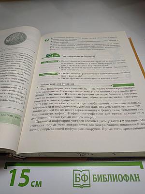 Биология 8 класс