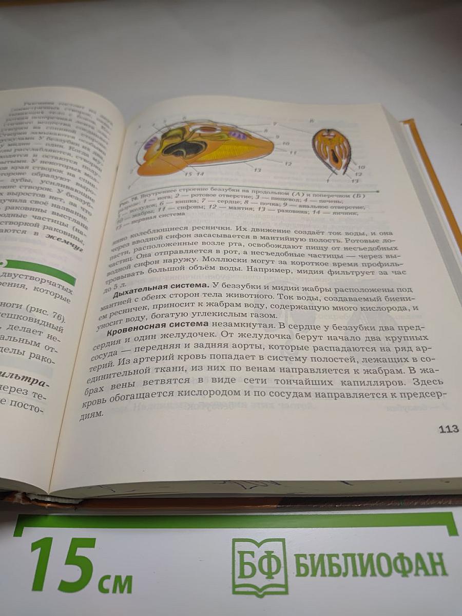 Биология 8 класс