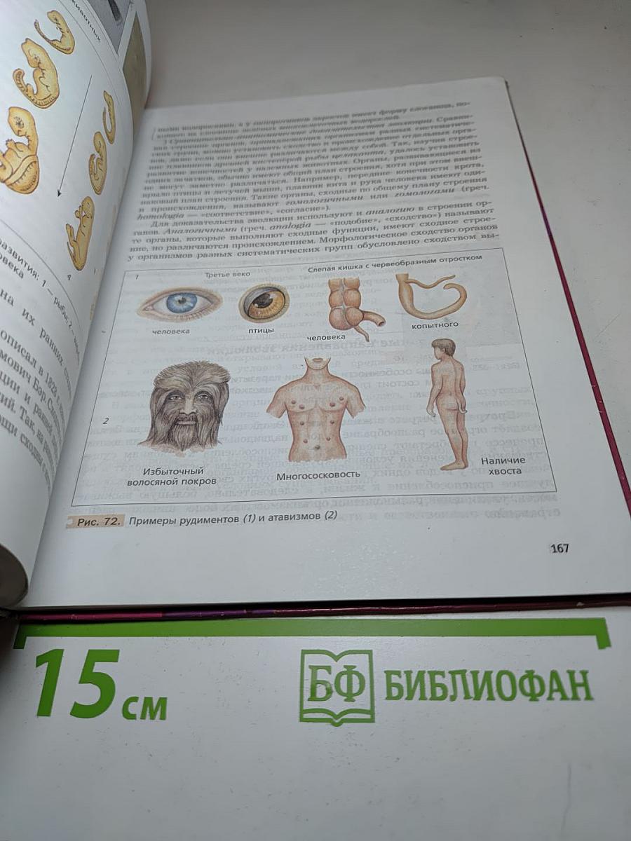 Биология 9 класс