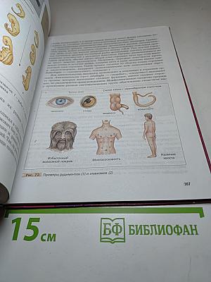Биология 9 класс