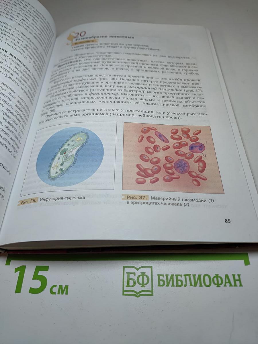 Биология 9 класс