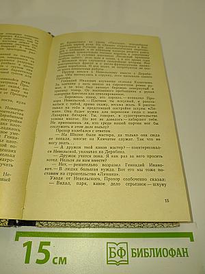 Орлиное гнездо