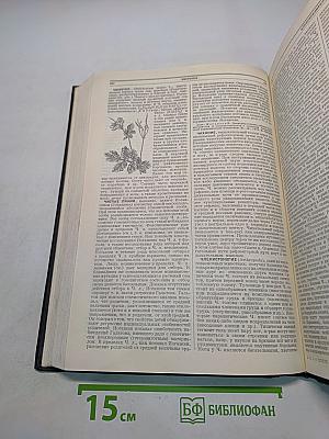 Большая медицинская энциклопедия. Том тридцать четвертый. Фоликулит-Шик