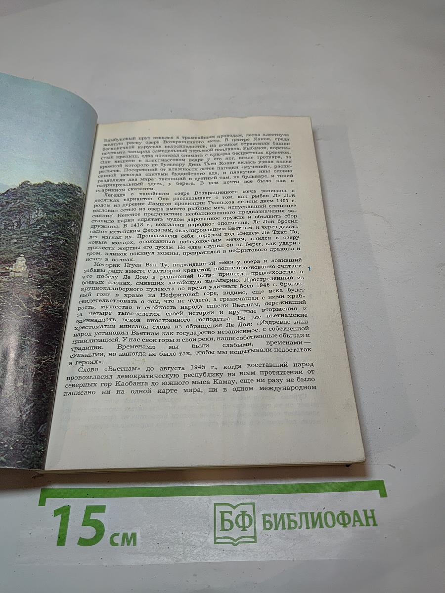 Конец дороги мандаринов