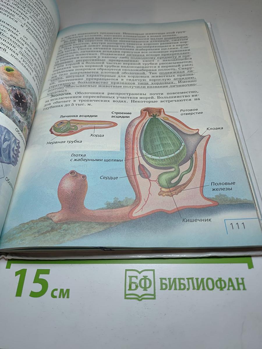 Биология. Многообразие живых организмов. Животные. 8 класс