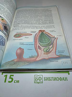 Биология. Многообразие живых организмов. Животные. 8 класс