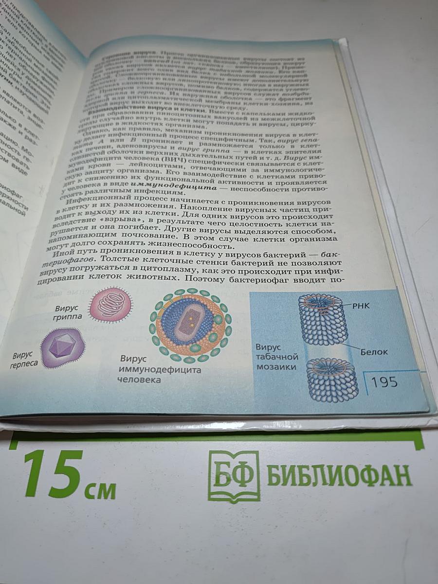 Биология. Многообразие живых организмов. Животные. 8 класс