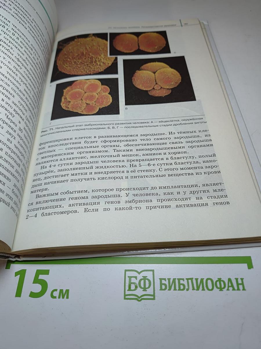 Биология. Общая биология 10 класс