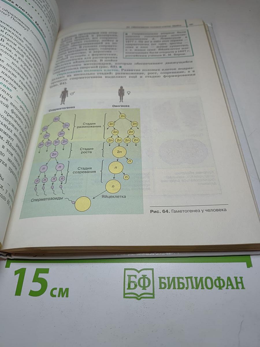 Биология. Общая биология 10 класс