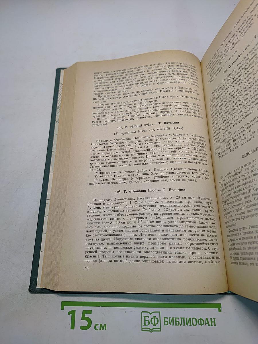 Декоративные травянистые растения. Том 2. Для открытого грунта СССР. Liliaceae – Zingiberaceae (Лилейные – Имбирные)