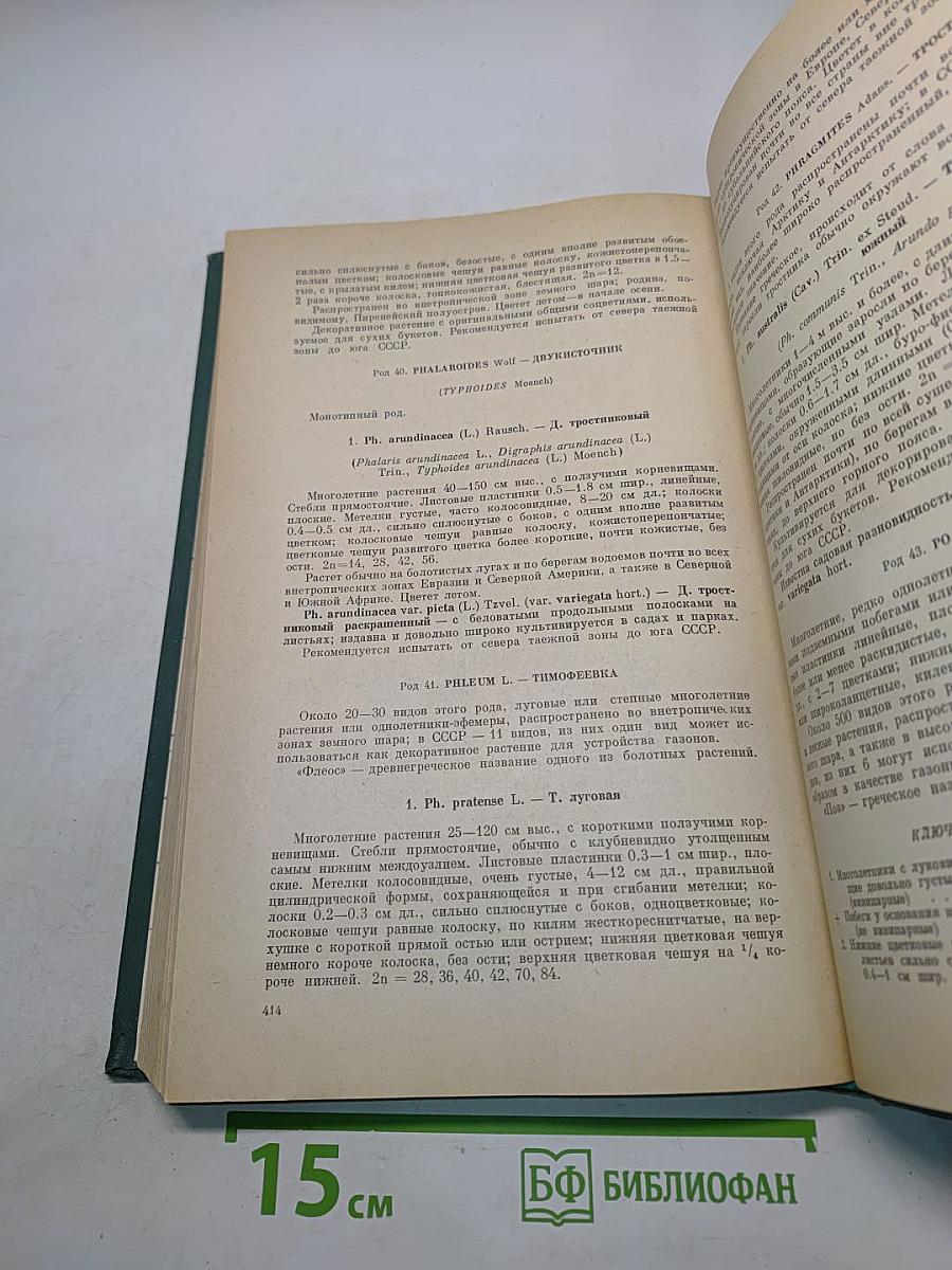 Декоративные травянистые растения. Том 2. Для открытого грунта СССР. Liliaceae – Zingiberaceae (Лилейные – Имбирные)