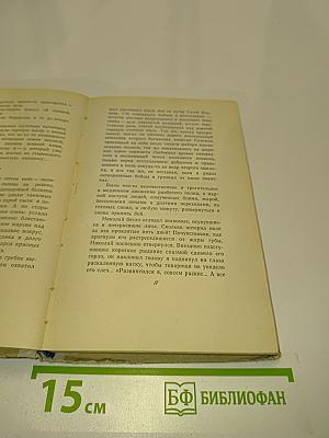 Они сражались за Родину. Главы из романа