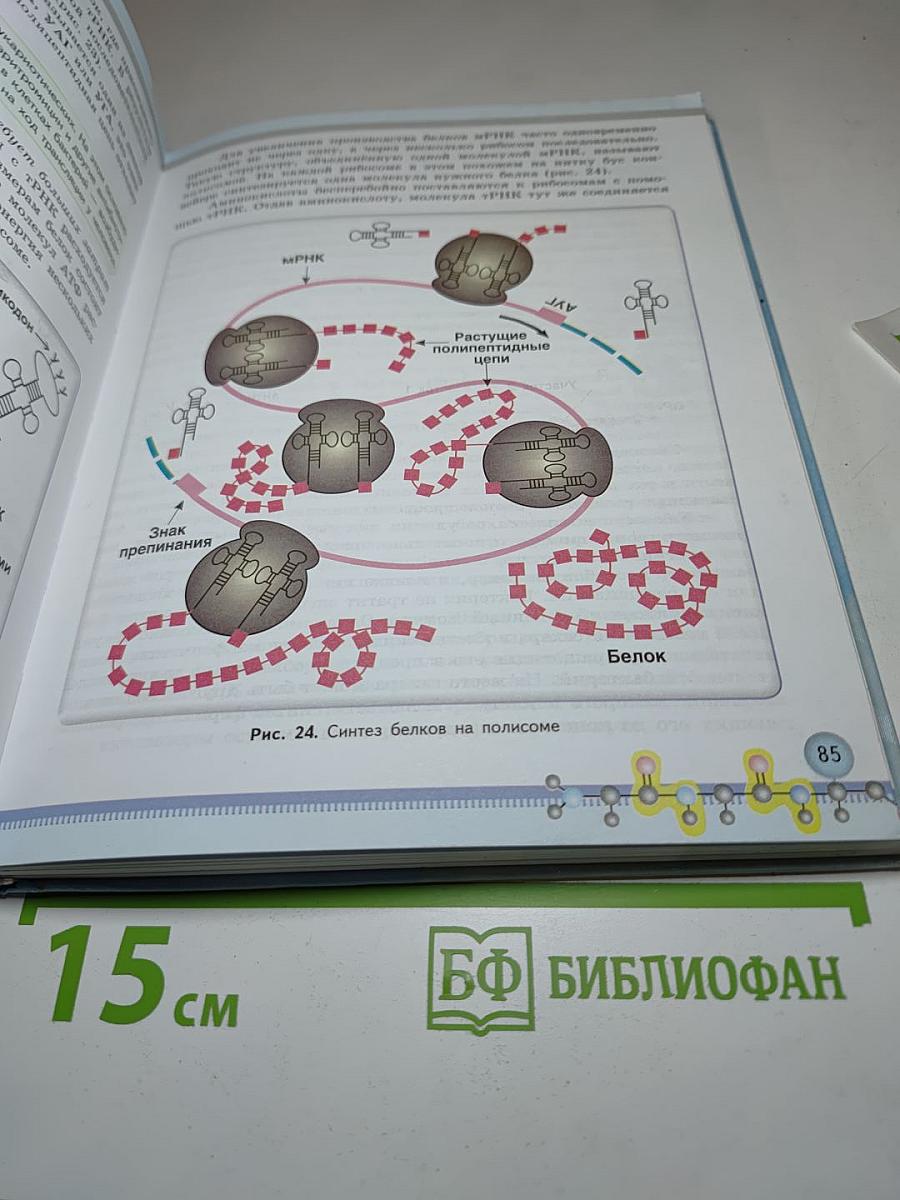 Биология 10 класс. Базовый уровень