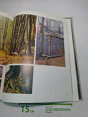 Наедине с тишиной. Фотокнига о заповедных местах Карпат