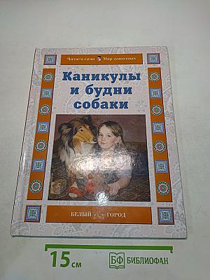 Каникулы и будни собаки