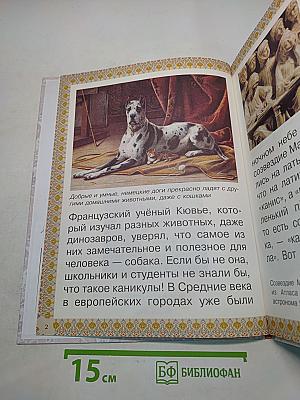 Каникулы и будни собаки