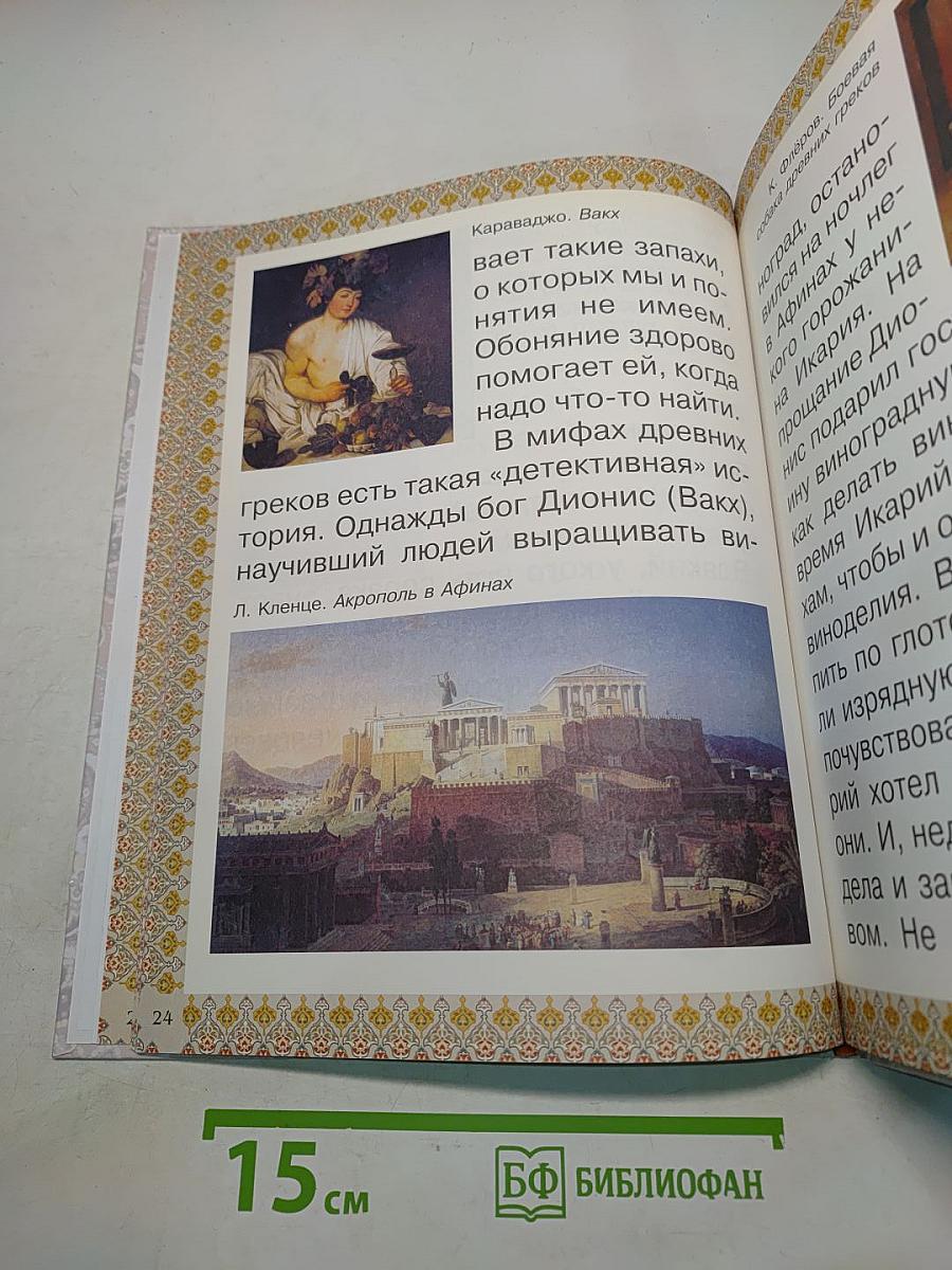 Каникулы и будни собаки