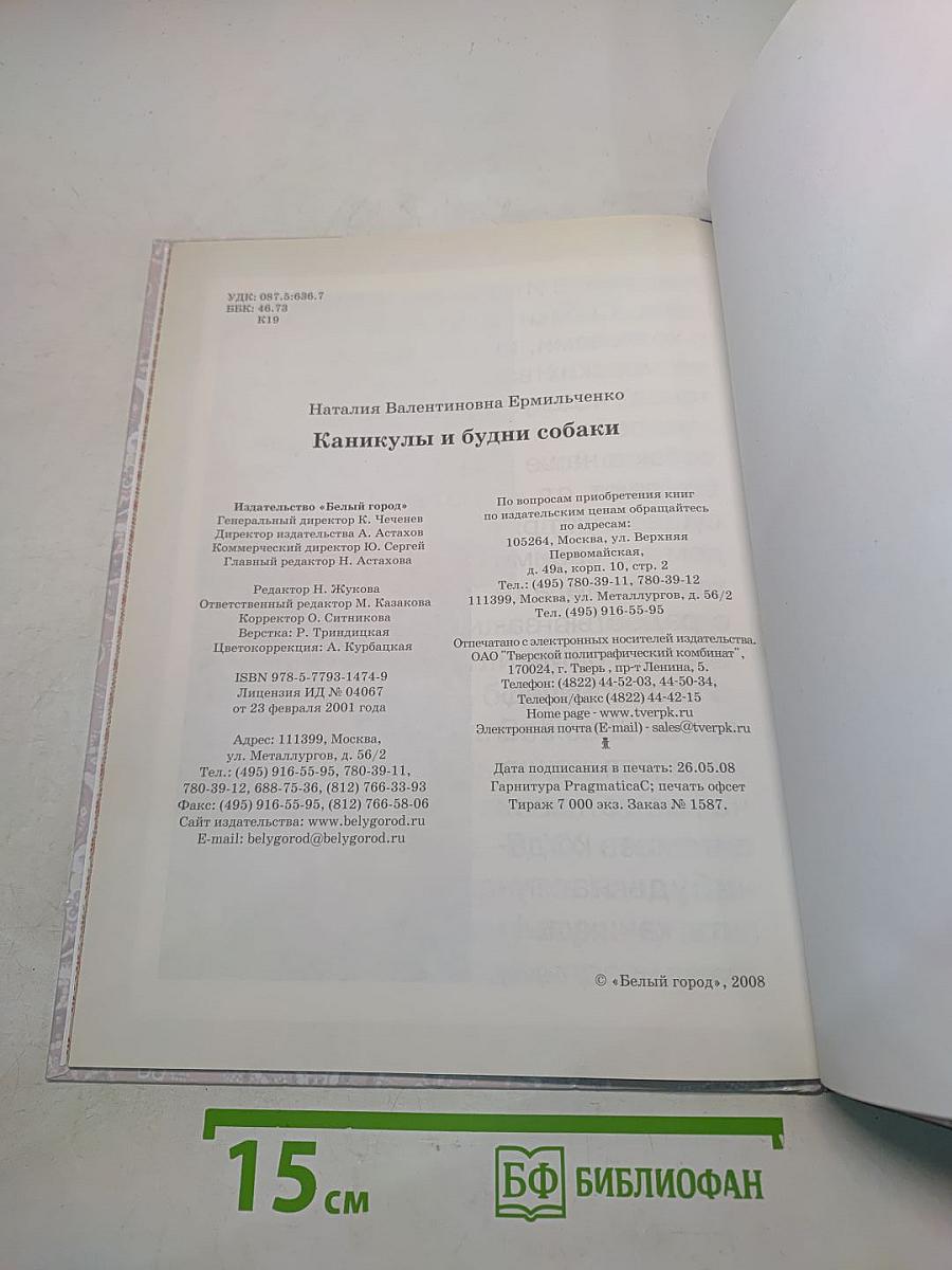 Каникулы и будни собаки
