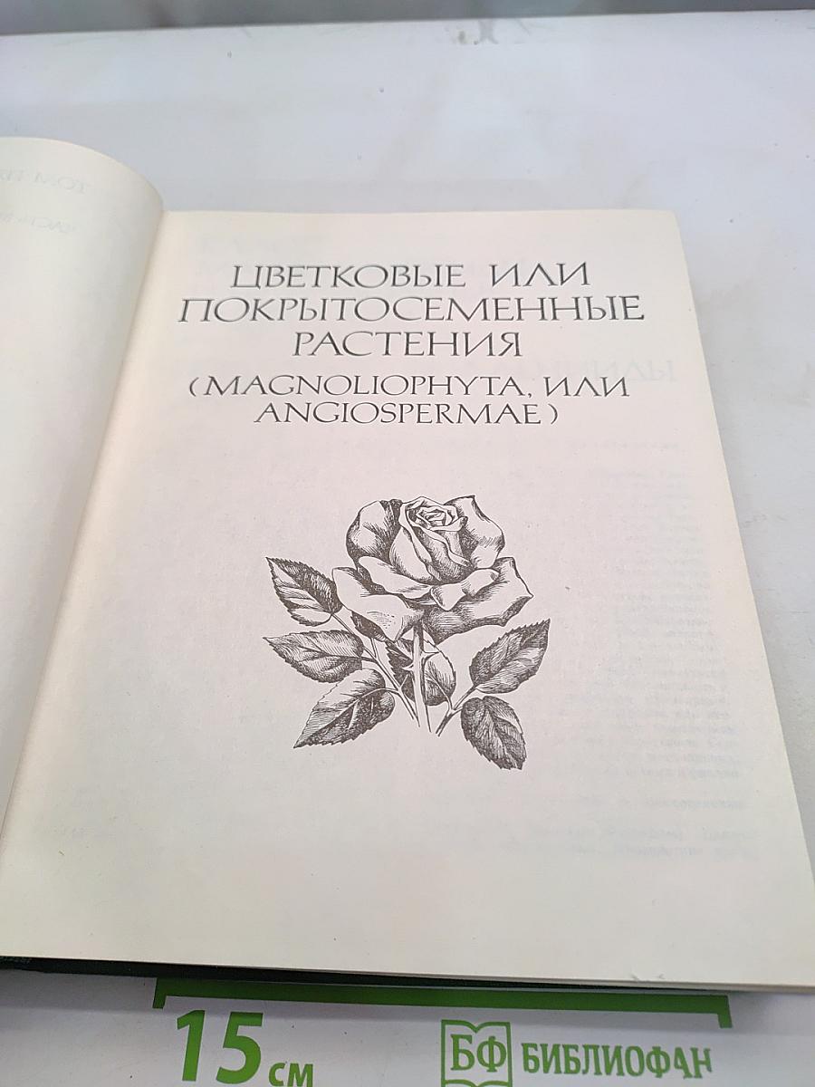 Жизнь растений. Том пятый. Часть вторая. Цветковые или покрытосеменные растения (Magnoliophyta, или Angiospermae)