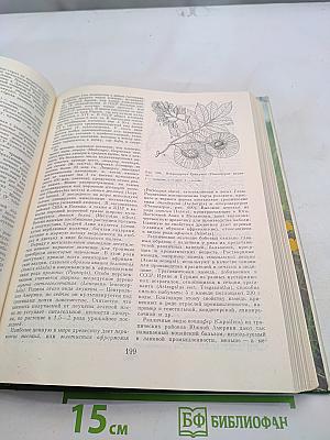Жизнь растений. Том пятый. Часть вторая. Цветковые или покрытосеменные растения (Magnoliophyta, или Angiospermae)