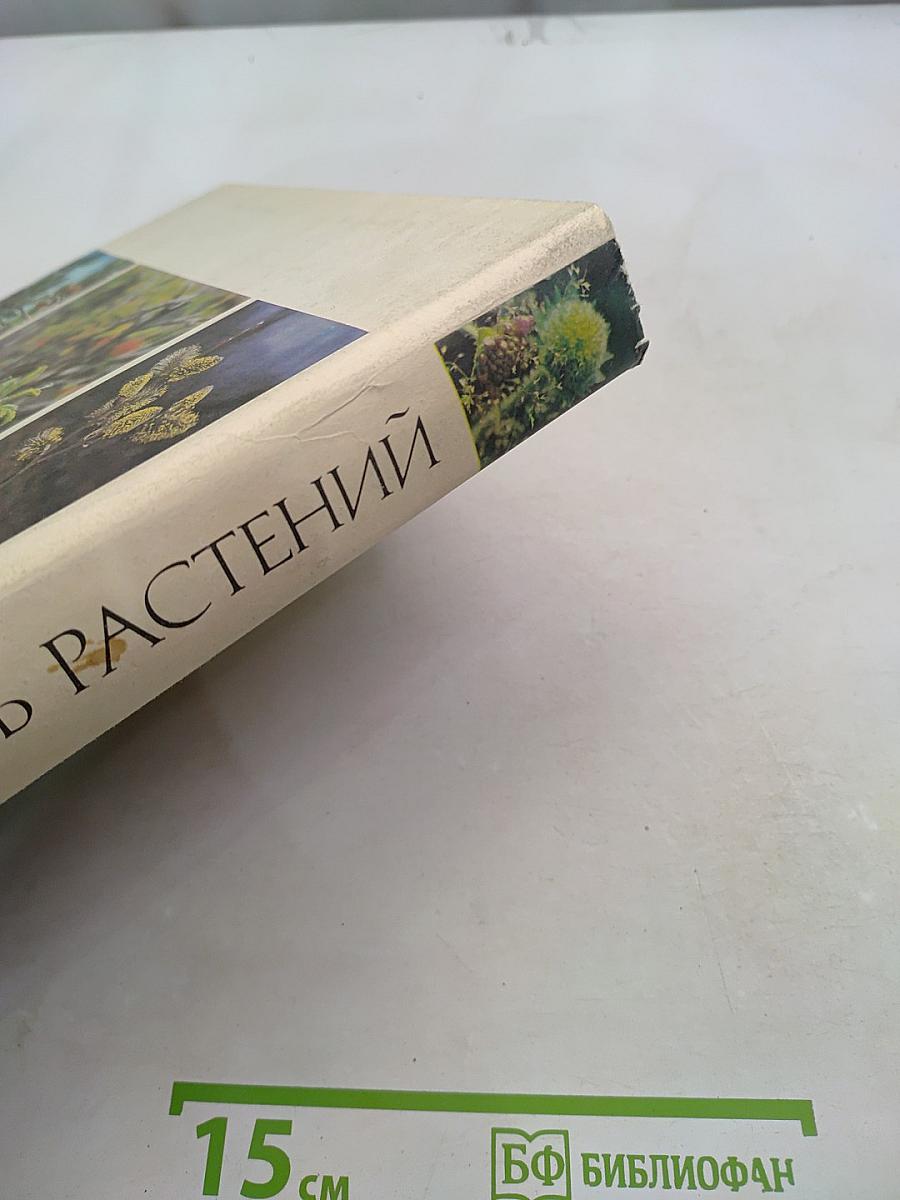 Жизнь растений. Том пятый. Часть вторая. Цветковые или покрытосеменные растения (Magnoliophyta, или Angiospermae)