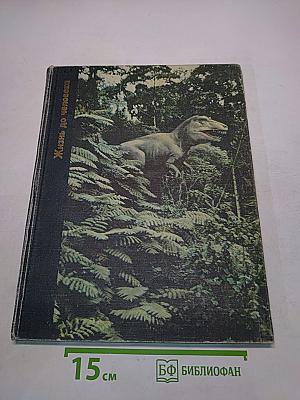 Жизнь до человека