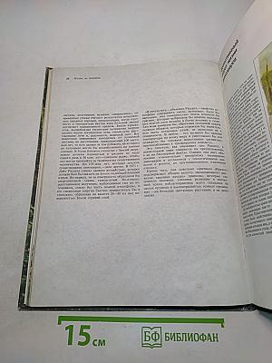 Жизнь до человека