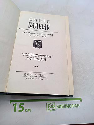 Человеческая комедия. Том 13