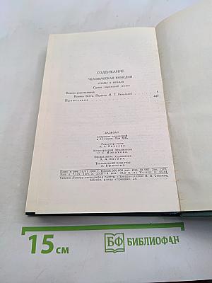 Человеческая комедия. Том 13