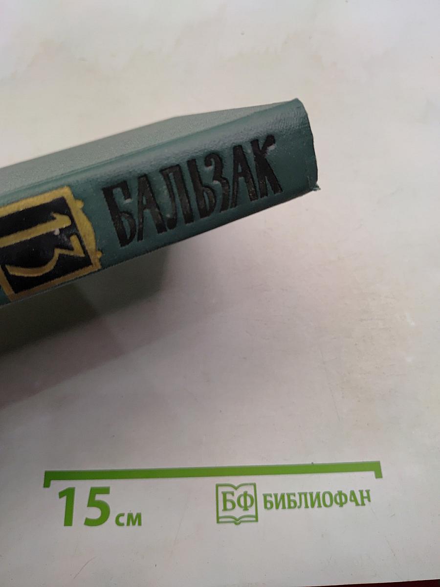 Человеческая комедия. Том 13