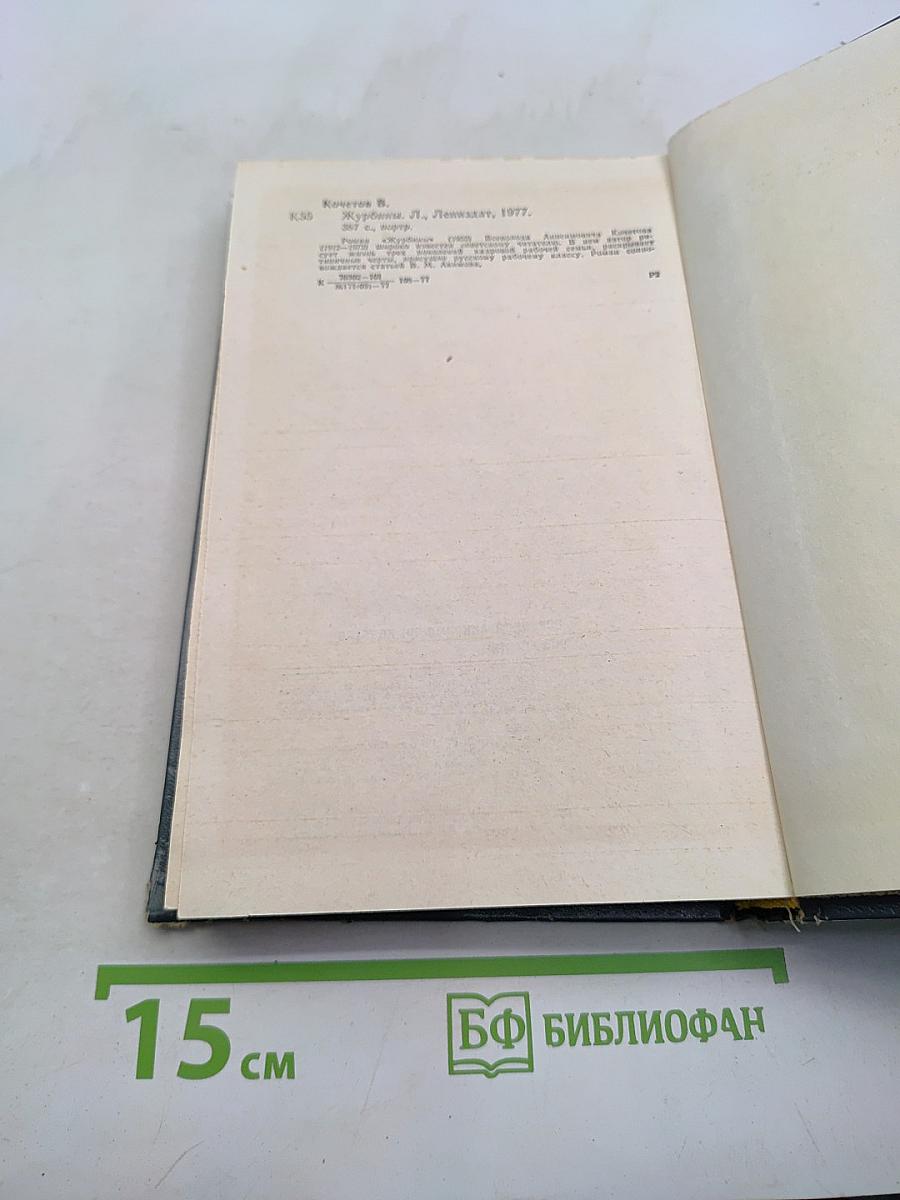 Журбины