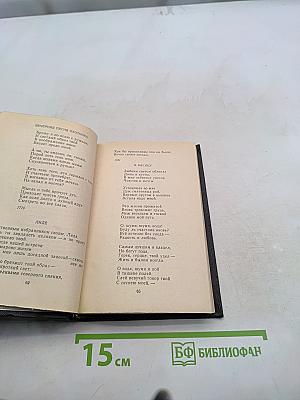 Избранные стихотворения и проза